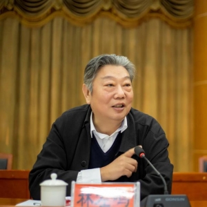 林左鳴：發(fā)展通用航空，需要知道的四個故事
