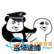 這也太剛了！為讓飛行模擬更真實(shí)，開(kāi)發(fā)者購(gòu)買(mǎi)戰(zhàn)斗機(jī)說(shuō)明書(shū)遭逮捕-5600
