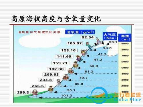 鳥類強(qiáng)大的飛行能力背后，做了哪些犧牲？一文了解飛行的秘密-7559