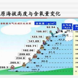 鳥類強大的飛行能力背后，做了哪些犧牲？一文了解飛行的秘密