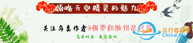 鳥類強(qiáng)大的飛行能力背后，做了哪些犧牲？一文了解飛行的秘密-890