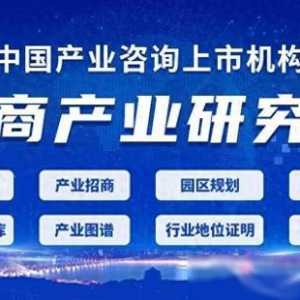 2024年中國通用航空行業市場前景預測研究報告（簡版）