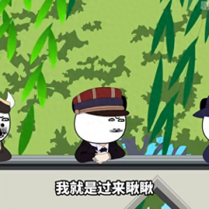 這飛行技術很專業 跟著后面飛七個小時 技術很到位 哈哈