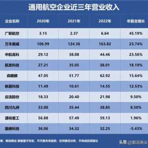 通用航空，誰是成長最快企業？