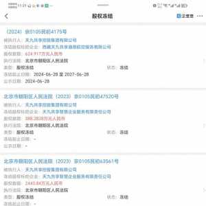 天九共享控股集團關聯子公司西藏天九共享通用航空服務有限公司經營異常，部分股權被法院凍結