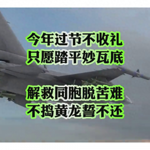 空中戰(zhàn)斗！震撼的軍事模擬飛行體驗(yàn)！