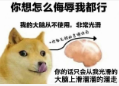 《微軟飛行模擬2024》評測9.0分系列飛躍，對中文玩家最好的一代-9362