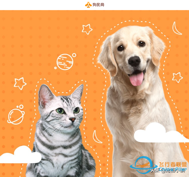 國(guó)內(nèi)外較著名的寵物網(wǎng)站大全-7442