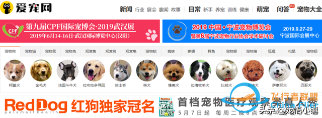 國(guó)內(nèi)外較著名的寵物網(wǎng)站大全-7006