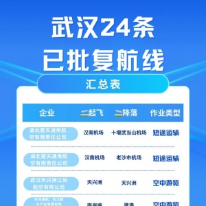 打飛的、空中觀光、送快遞……武漢批復24條低空經濟航線！